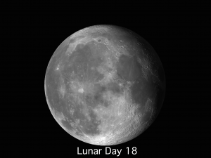 Lunar Day 18-24 Andrew Planck