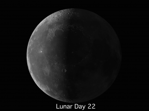 Lunar Day 22