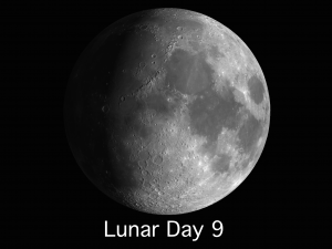 Lunar Day 9 through Day 14: The first part of the week will be the most rewarding time to view individual moon craters.