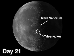 Triesnecker and Mare Vaporum