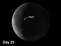 Moon Crater Kepler: Rays Intertwine with Copernicus and Aristarchus