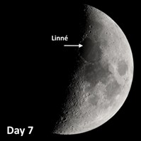 Linne is a young moon crater